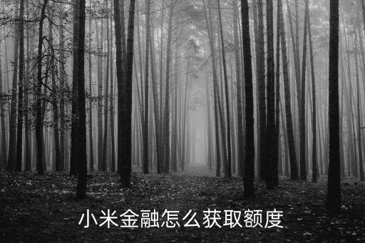 小米金融怎么獲取額度