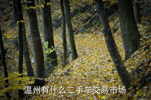 溫州有什么二手車交易市場