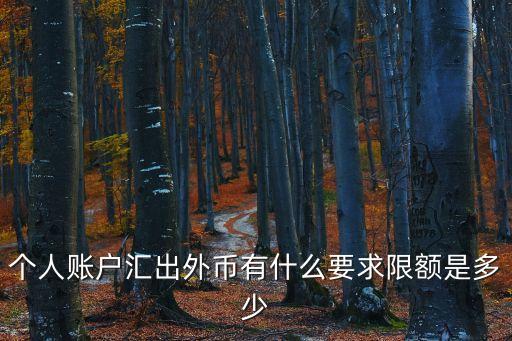 個人賬戶匯出外幣有什么要求限額是多少