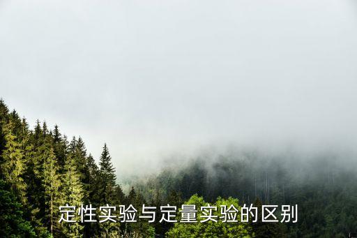 定性實(shí)驗(yàn)，物理實(shí)驗(yàn)中何其為定量實(shí)驗(yàn)何為定性實(shí)驗(yàn)