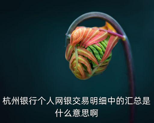 杭州銀行個(gè)人網(wǎng)銀交易明細(xì)中的匯總是什么意思啊
