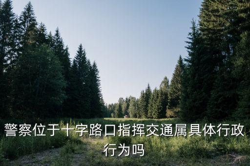 警察位于十字路口指揮交通屬具體行政行為嗎