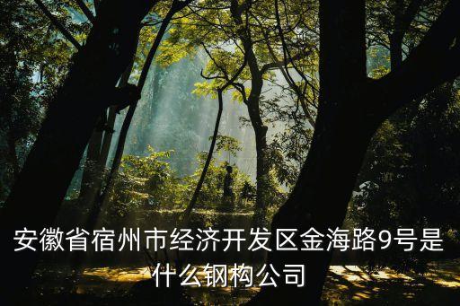 金海鋼構(gòu)，金海鋼結(jié)構(gòu)專用油漆 如何