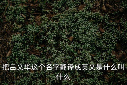 呂文華，把呂文華這個名字翻譯成英文是什么叫什么