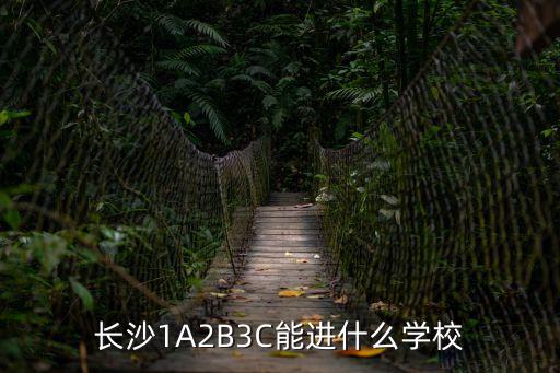 長(zhǎng)沙1A2B3C能進(jìn)什么學(xué)校