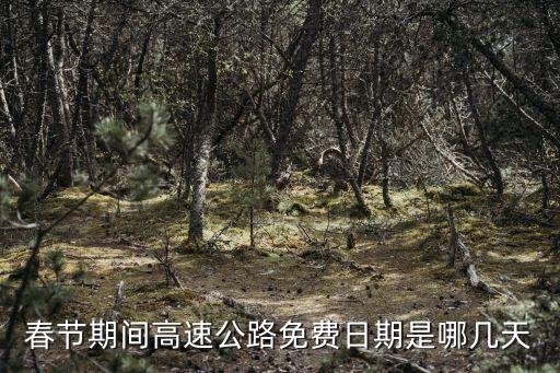 春節(jié)高速路免費(fèi)，春節(jié)期間高速公路免費(fèi)日期是哪幾天