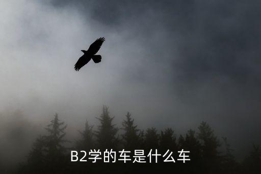 B2學(xué)的車(chē)是什么車(chē)