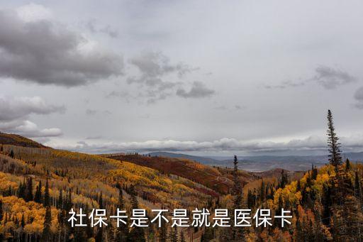 社?？ㄊ遣皇轻t(yī)?？?，社保卡是醫(yī)?？▎?/></a></span><span id=