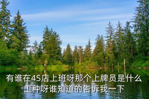 有誰(shuí)在4S店上班呀那個(gè)上牌員是什么工種呀誰(shuí)知道的告訴我一下
