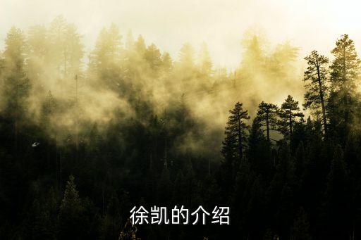 徐凱的介紹