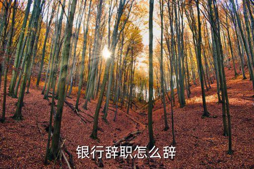 銀行辭職，銀行辭職怎么辭