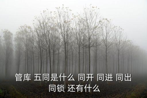 管庫 五同是什么 同開 同進 同出 同鎖 還有什么