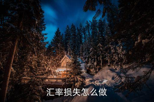 匯率損失怎么做