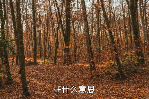sf是什么，街舞sf是什么