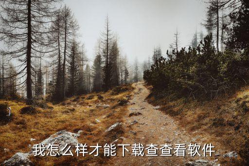 查查看，查看 英語(yǔ)單詞是什么