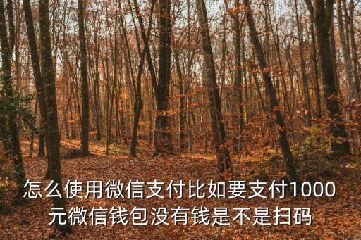 微信沒錢截圖，怎么使用微信支付比如要支付1000元微信錢包沒有錢是不是掃碼