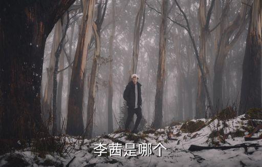 李茜，李茜是哪個