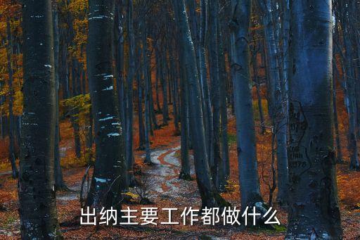出納的崗位職責，出納的職責工作范圍主要是什么