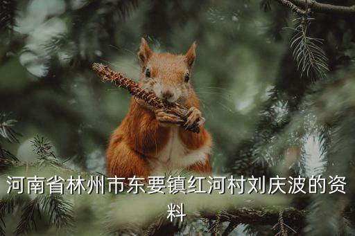 劉慶波，河南省林州市東要鎮(zhèn)紅河村劉慶波的資料