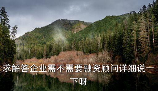 求解答企業(yè)需不需要融資顧問詳細(xì)說一下呀