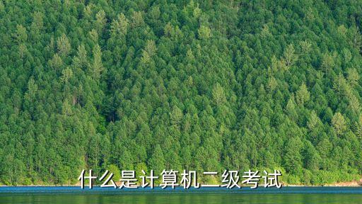 什么是計(jì)算機(jī)二級(jí)考試