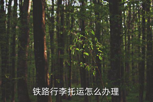 鐵路行李托運(yùn)怎么辦理