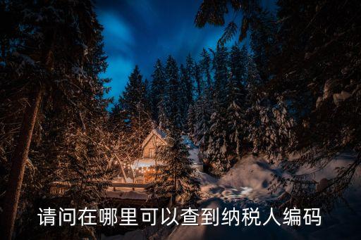 請問在哪里可以查到納稅人編碼