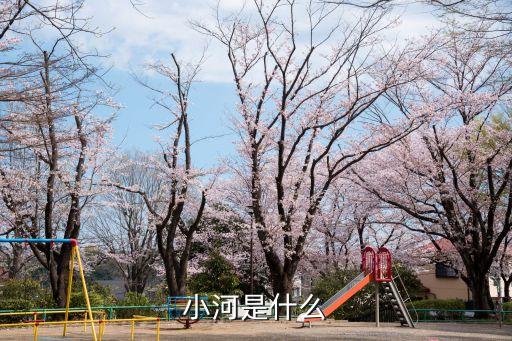 小河是什么