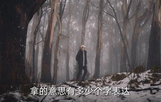 拿的意思有多少個(gè)字表達(dá)