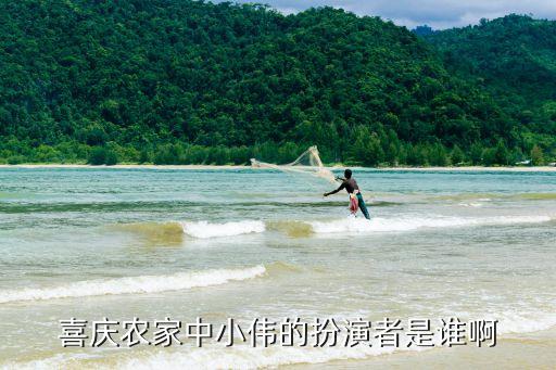 高志剛，喜慶農(nóng)家中小偉的扮演者是誰啊