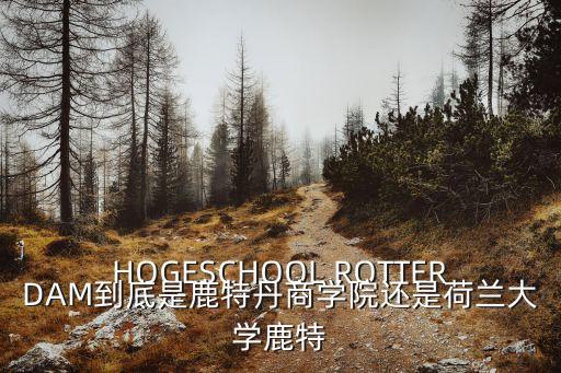 HOGESCHOOL ROTTERDAM到底是鹿特丹商學(xué)院還是荷蘭大學(xué)鹿特