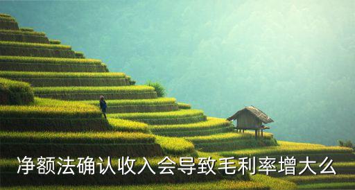 凈額法，與資產(chǎn)相關(guān)的政府補(bǔ)助凈額法中固定資產(chǎn)借一次貸兩次