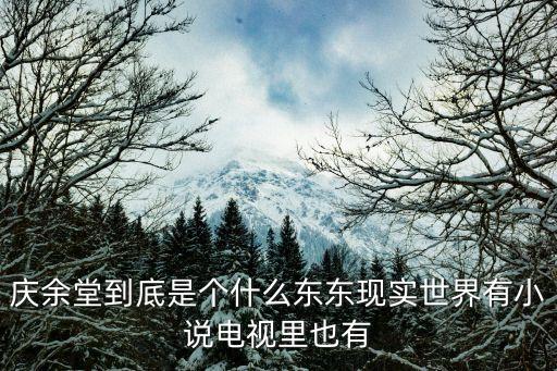 慶余堂到底是個什么東東現(xiàn)實世界有小說電視里也有