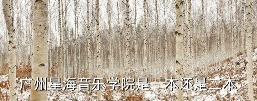 星海學校，星海學校怎么樣