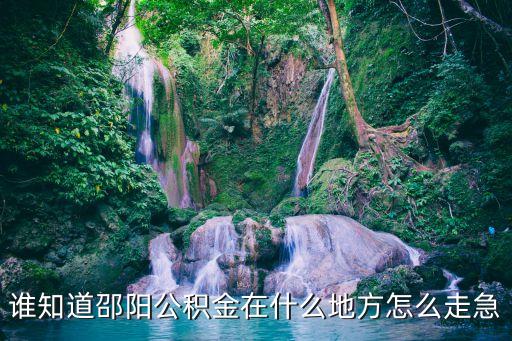 誰知道邵陽公積金在什么地方怎么走急