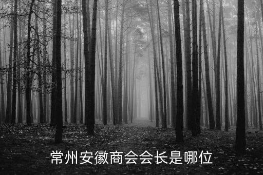 朱圣杰，常州安徽商會會長是哪位