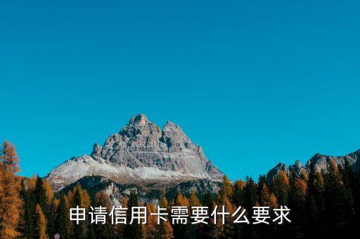 申請信用卡需要什么要求