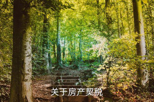 關(guān)于房產(chǎn)契稅