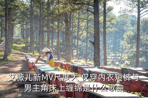 艾薇兒新MV尺度大 僅穿內(nèi)衣短褲與男主角床上纏綿是什么歌曲