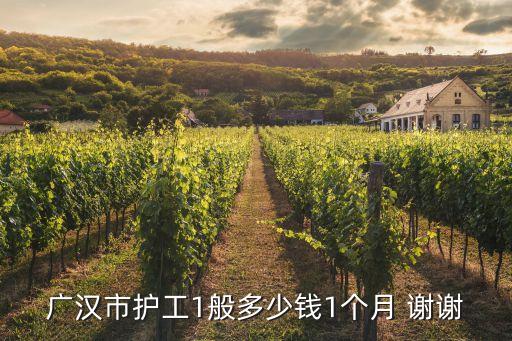護工一個月多少錢，廣漢市護工1般多少錢1個月 謝謝