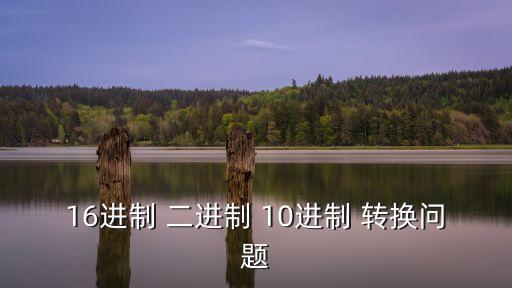 xxxxx16，16進(jìn)制 二進(jìn)制 10進(jìn)制 轉(zhuǎn)換問題