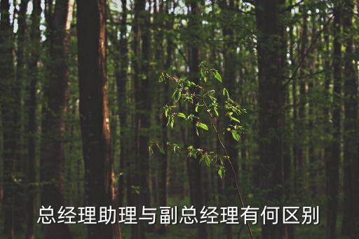 總經(jīng)理助理與副總經(jīng)理有何區(qū)別