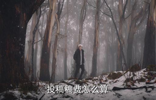 投稿稿費(fèi)怎么算