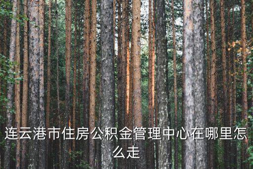 連云港市住房公積金管理中心在哪里怎么走