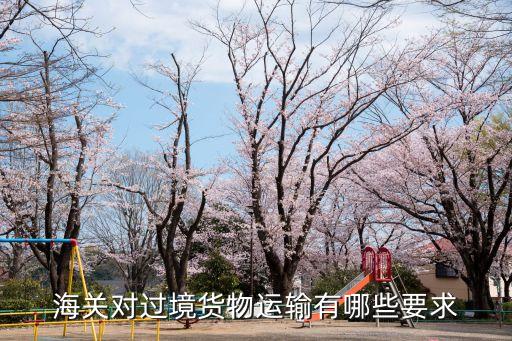 過境貨物，海關(guān)對過境貨物運輸有哪些要求