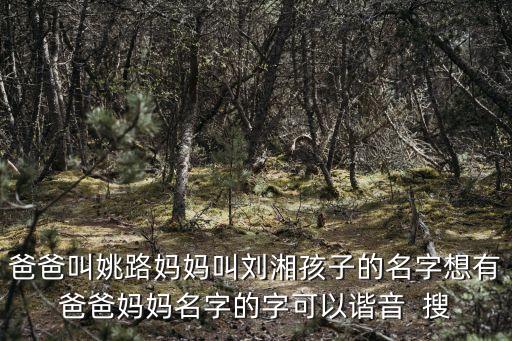 姚路，長葛長姚路還要加寬嗎