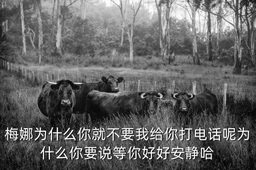 梅娜，梅娜為什么你就不要我給你打電話呢為什么你要說等你好好安靜哈