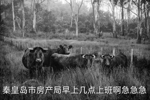 秦皇島市房產局早上幾點上班啊急急急