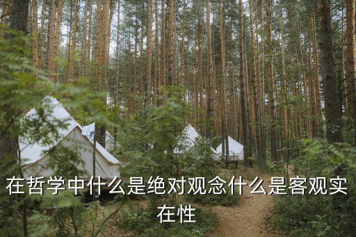 在哲學(xué)中什么是絕對(duì)觀念什么是客觀實(shí)在性