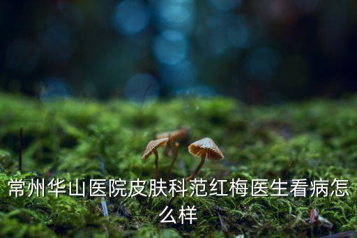 范紅梅，常州華山醫(yī)院皮膚科范紅梅醫(yī)生看病怎么樣